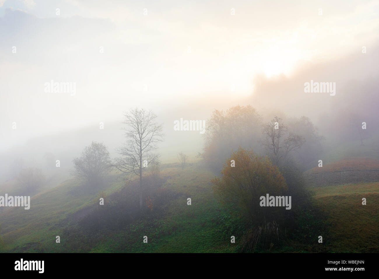 Dichter Nebel im Herbst Landschaft. Bäume auf Hügeln im ländlichen Raum. Sonnenlicht bricht durch. geheimnisvolle Wetter Phänomen Stockfoto