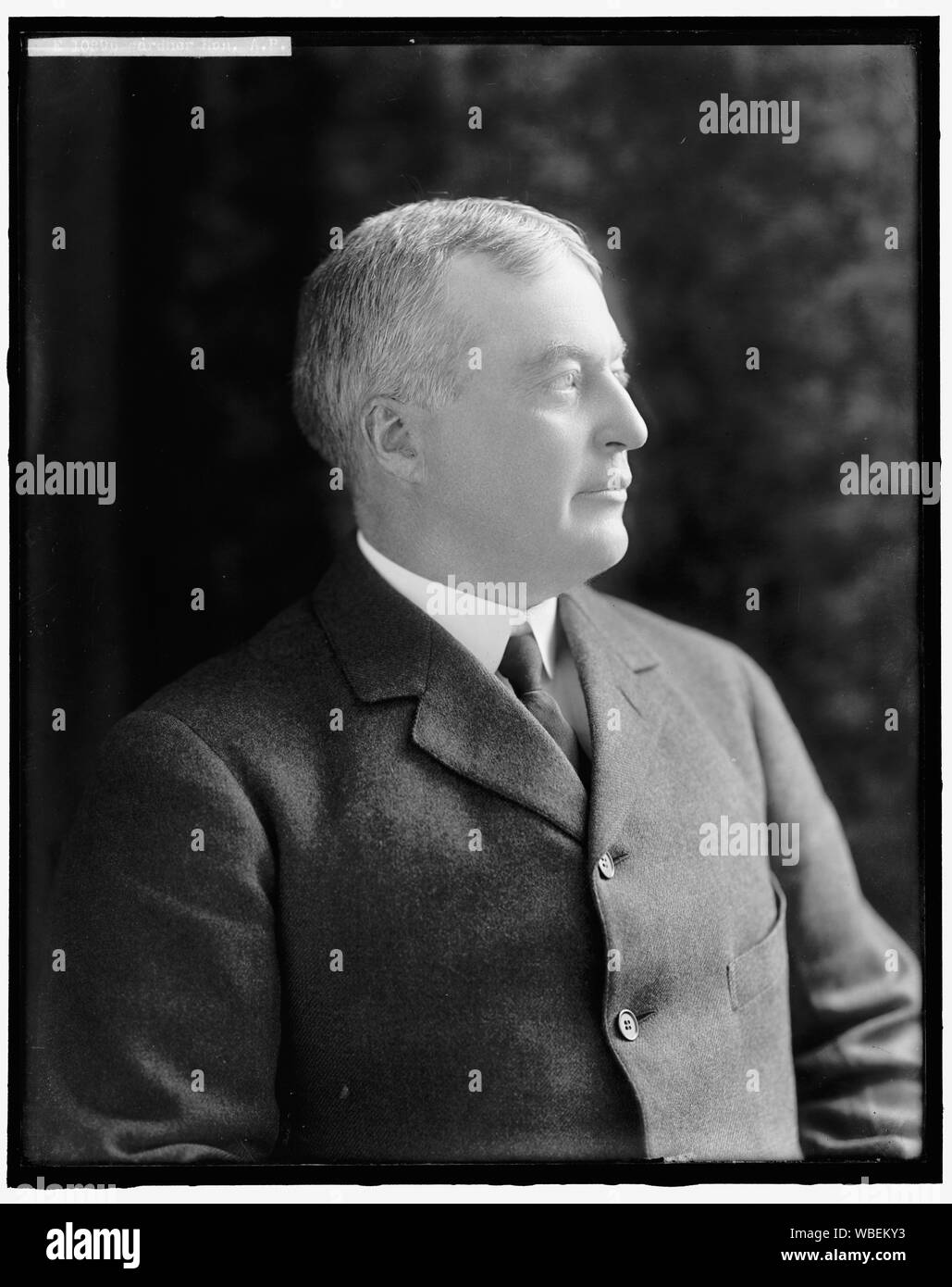 GARDNER, A.P. Frau Abgeordnete Abstract / Medium: 1 Negativ: Glas; 8 x 10 in. oder kleiner Stockfoto