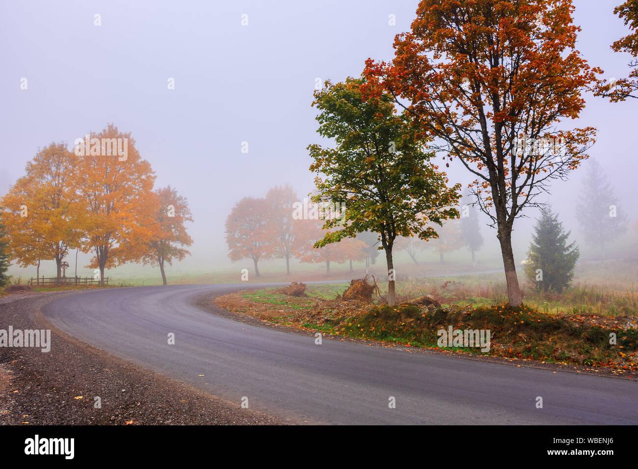 Straße windet sich durch Nebel im Herbst. schönen Herbst Landschaft mit Bäumen im buntes Laub. erstaunlich Oktober Wetter am Morgen. Stockfoto