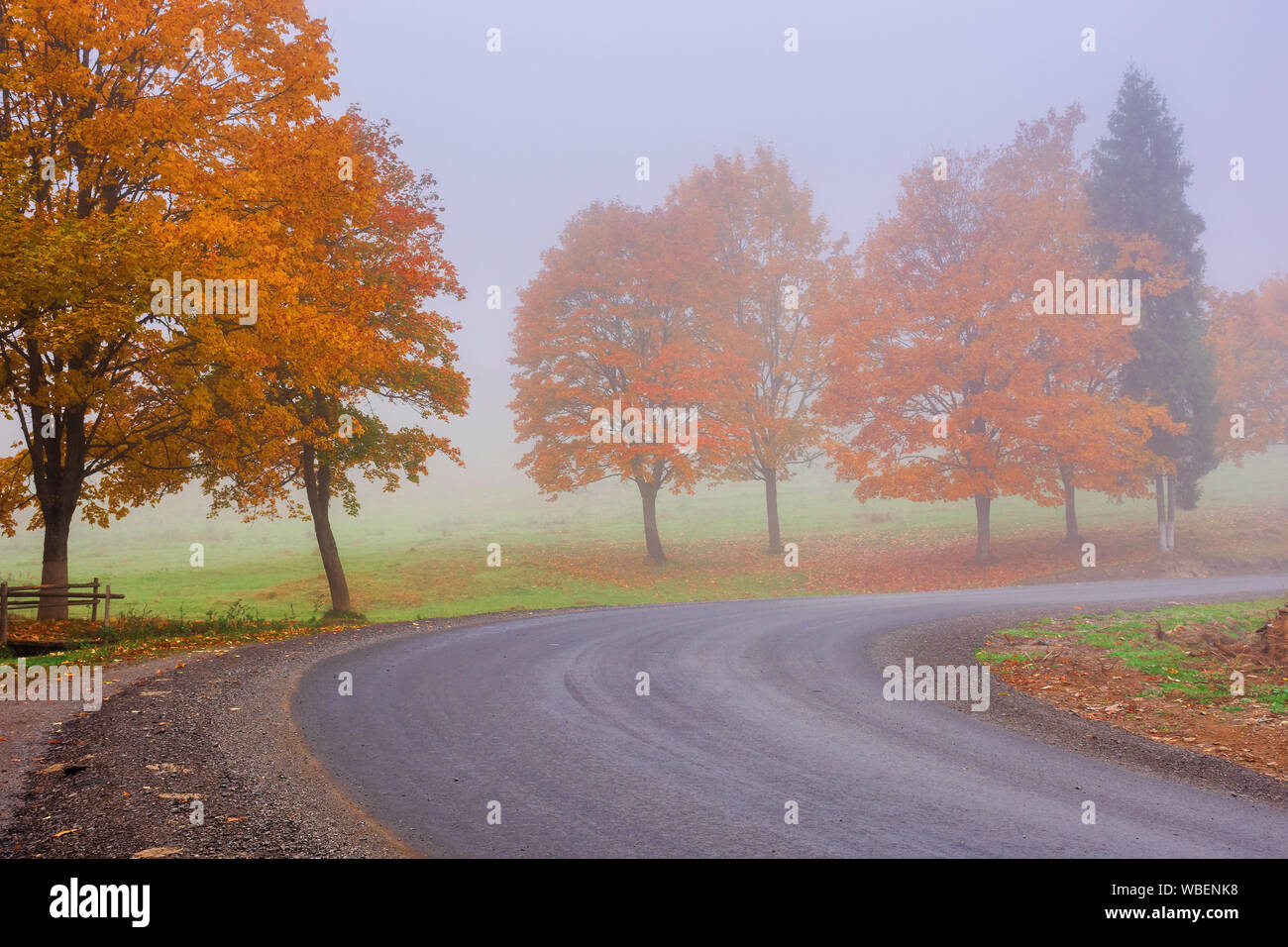 Straße windet sich durch Nebel im Herbst. schönen Herbst Landschaft mit Bäumen im buntes Laub. erstaunlich Oktober Wetter am Morgen. Stockfoto