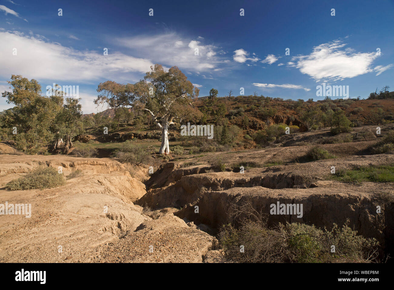 Landschaft mit tiefen und klaffende Risse über den Boden am Fuße der Hügel durch die Erosion durch Wasser, Flinders Ranges National Park Australien Stockfoto