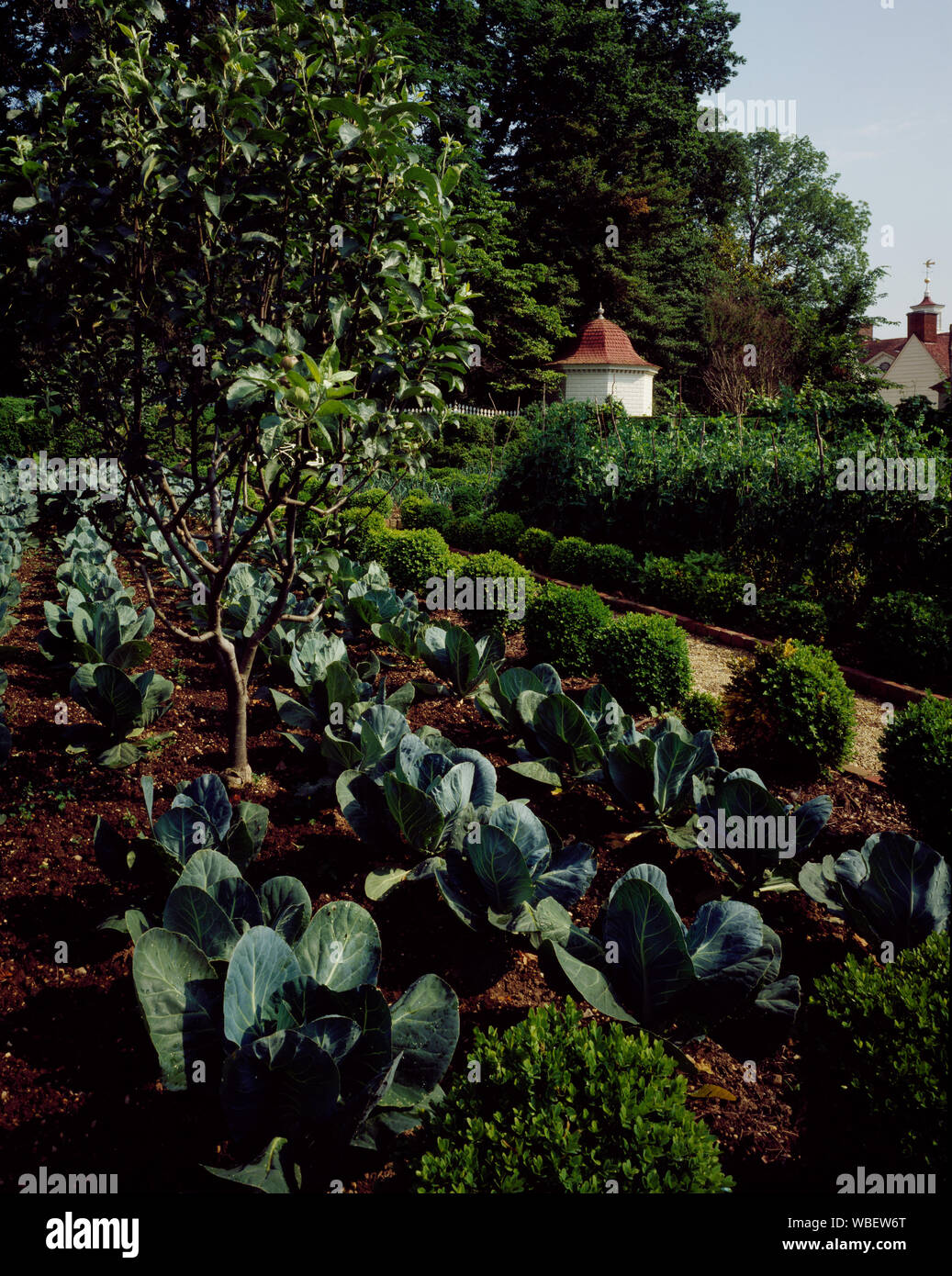 Garten, Mount Vernon, Virginia Stockfoto