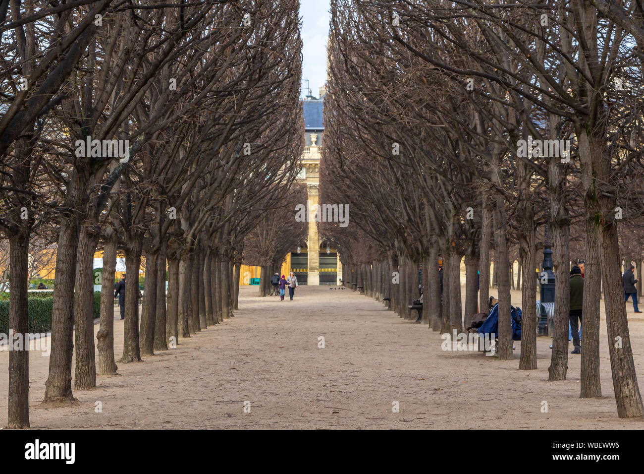 Paris, Frankreich - 02 Januar, 2013: die Gärten des Königlichen Palastes (Palais Royal) in Paris an einem Wintertag Stockfoto
