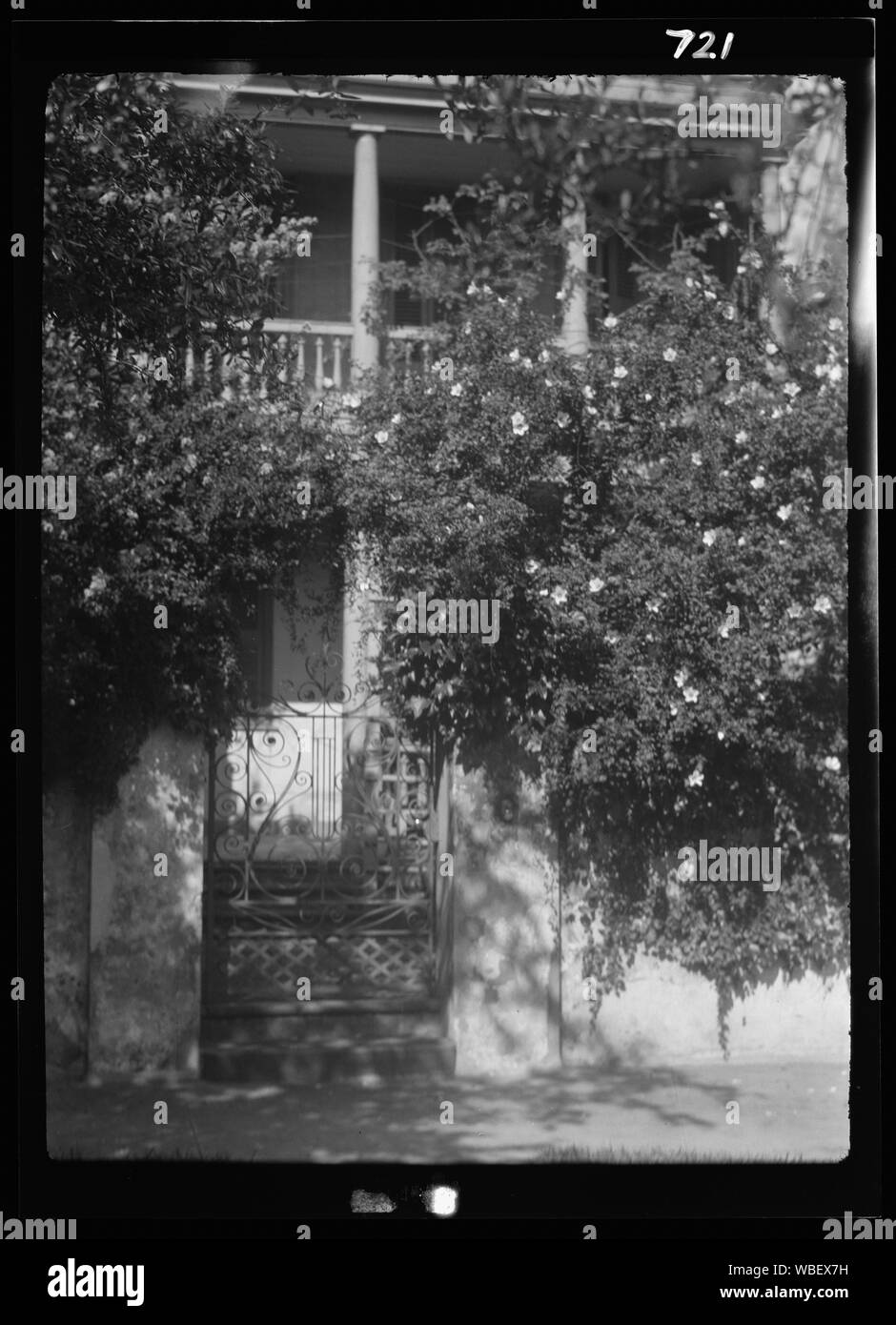 Tor Garten Haus, [George Eveleigh House, 39 Church Street], Charleston, South Carolina Abstract / Medium: Genthe, Arnold, 1869-1942, Fotograf. Stockfoto