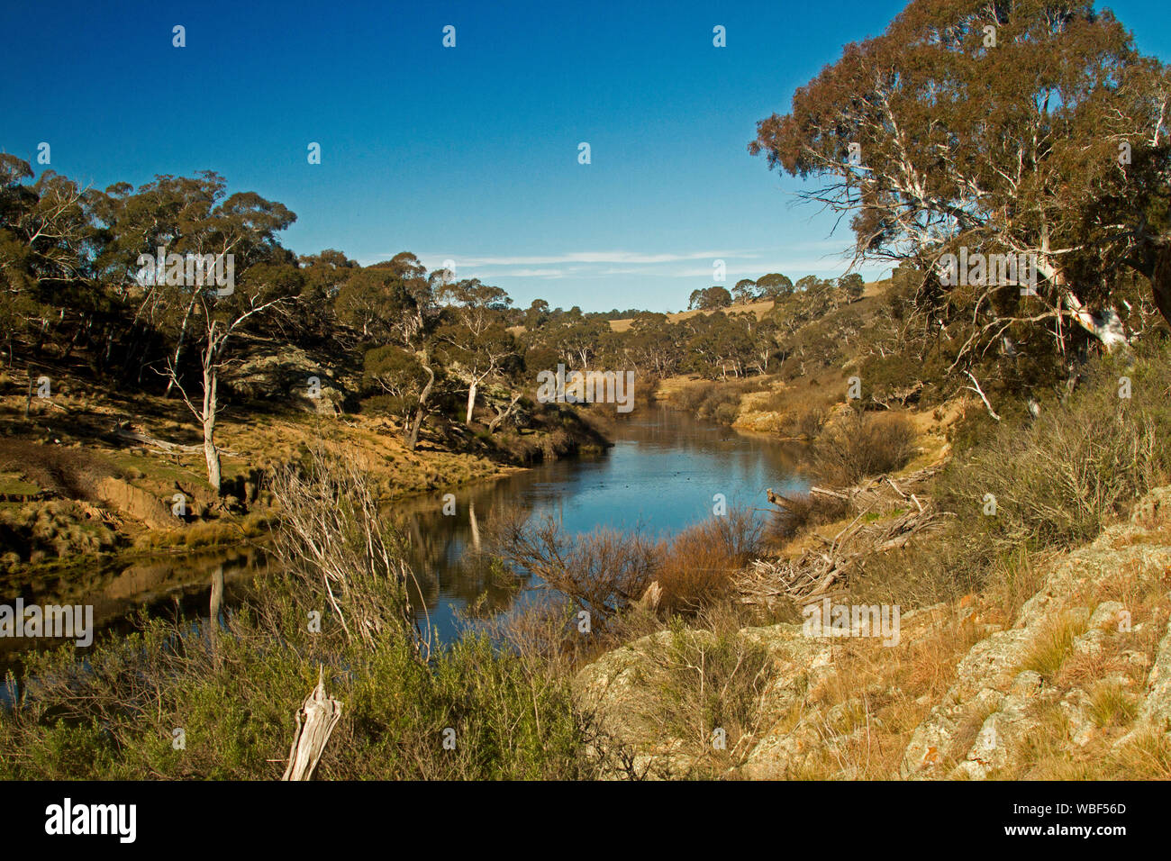 Australische Landschaft mit ruhigen blauen Wasser des Flusses Bombala von Hügeln mit Gummi Bäume und goldene Gräser unter blauen Himmel in NSW getarnte gesäumt Stockfoto