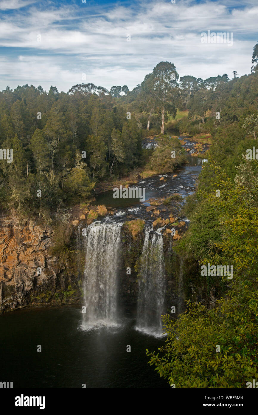 Australische Landschaft mit Gewässern des Bellinger River schneiden durch den Wald, bevor Kaskadierung über Felsen an Dangars fällt bei Dorrigo NSW Stockfoto