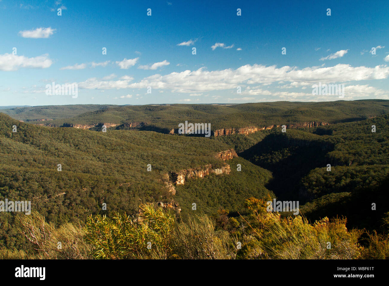 Atemberaubende Aussicht auf die Landschaft von bewaldeten Hügeln der Great Dividing Range durch zerklüftete Schluchten Stretching zu fernen Horizont & blue sky durchtrennt, NSW Australien Stockfoto