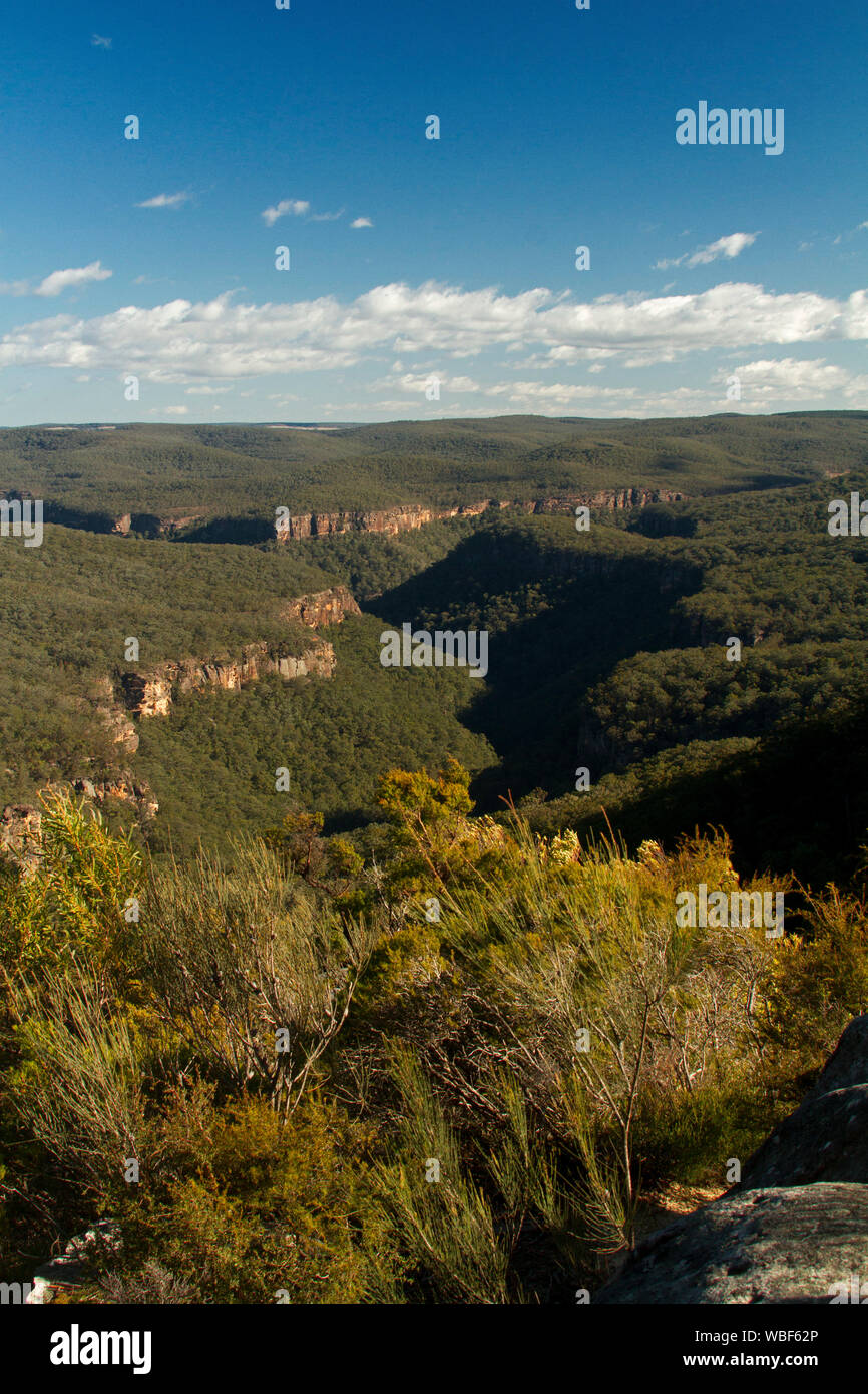 Atemberaubende Aussicht auf die Landschaft von bewaldeten Hügeln der Great Dividing Range durch zerklüftete Schluchten Stretching zu fernen Horizont & blue sky durchtrennt, NSW Australien Stockfoto