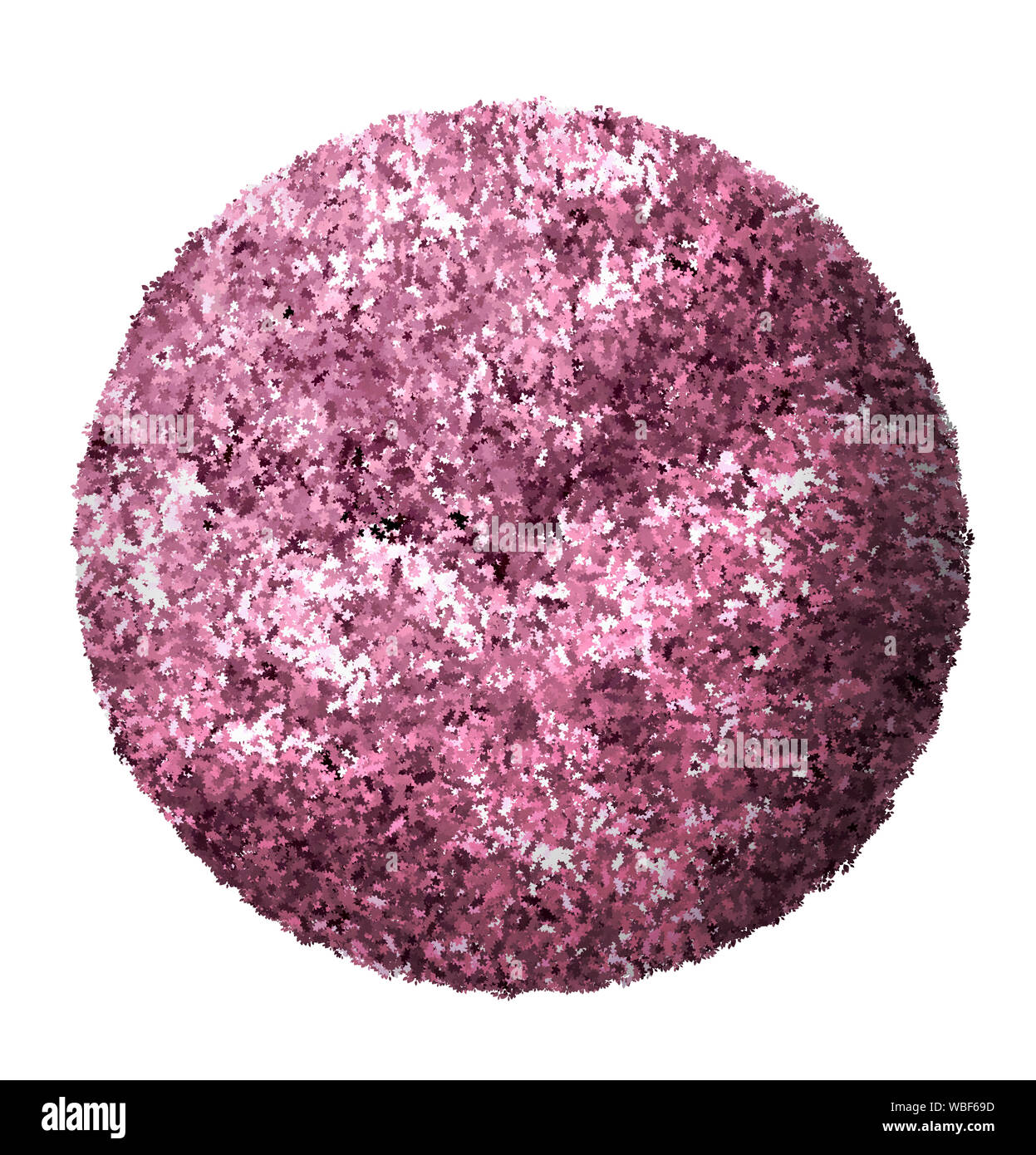 Sakura ball rosa Farbe. 3D-Darstellung machen. 3D-Darstellung. Weißer Hintergrund isolieren. Natur und Gärten Design. Stockfoto