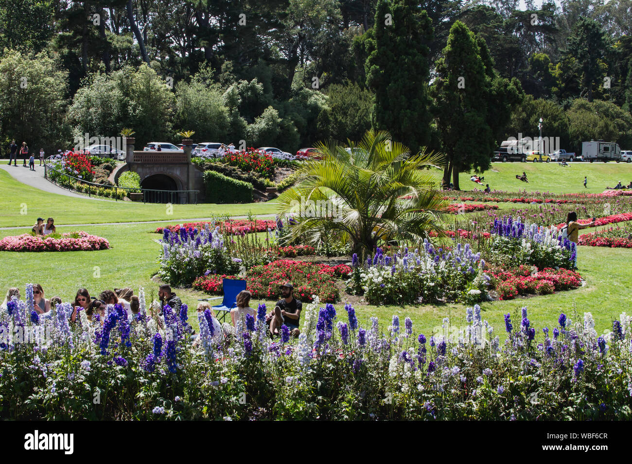 Golden Gate Park Flower Garden San Francisco California Summer Day ein weiterer klarer Tag in San Francisco für ein Picknick mit Freunden und Familien Stockfoto