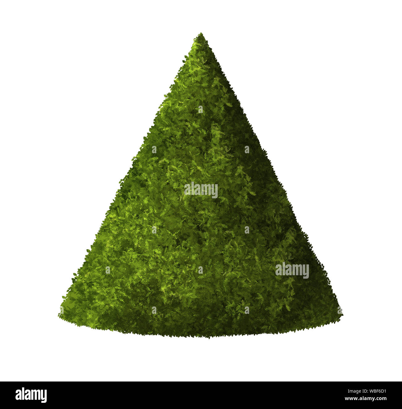 Pflanzkegel grüne Farbe. 3D-Darstellung machen. Weißer Hintergrund isolieren. Natur und Gärten Design. Stockfoto