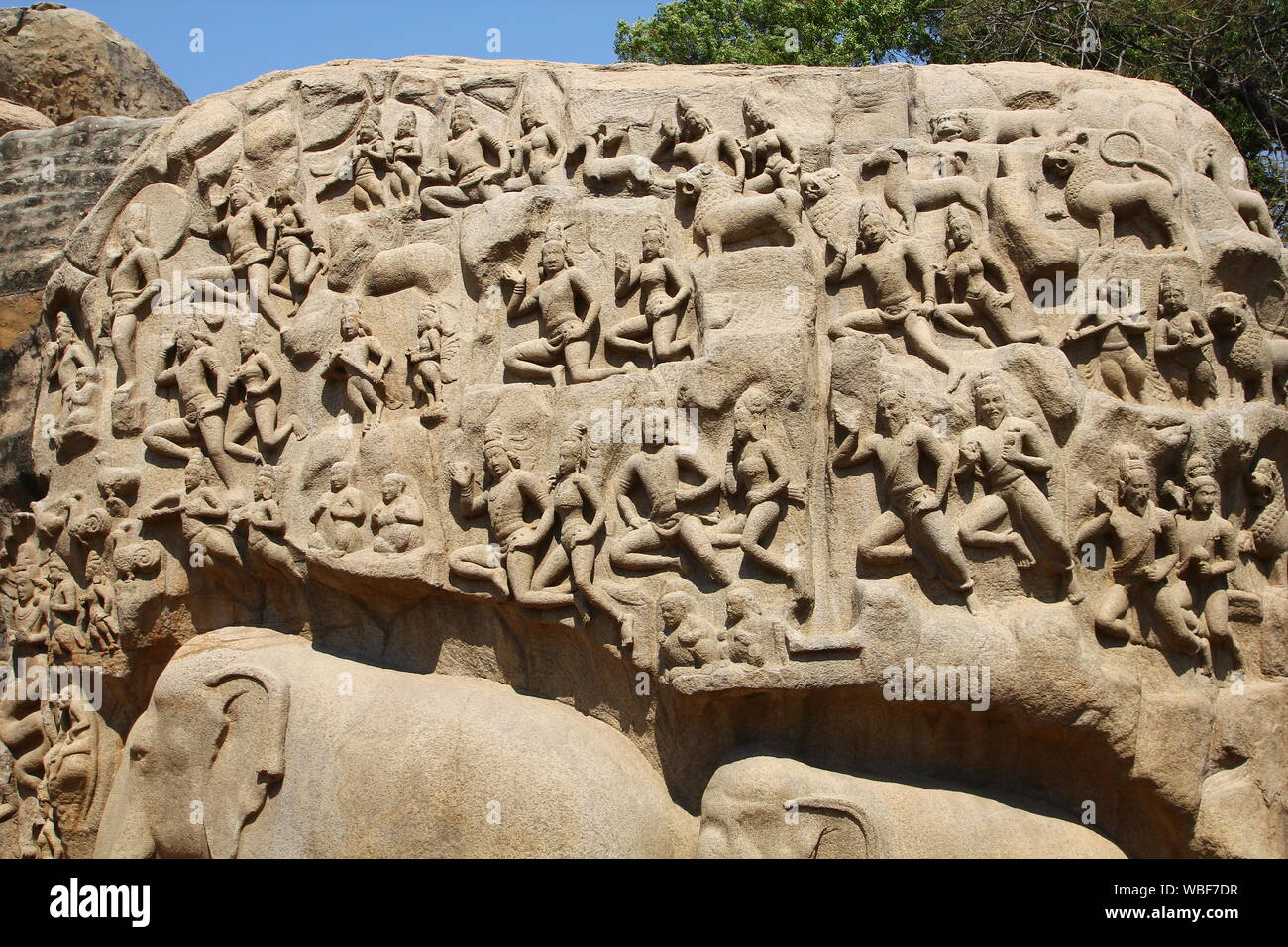 Arjunas Buße, Bas-Relief, Mamallapuram, Tamil Nadu, Indien Stockfoto