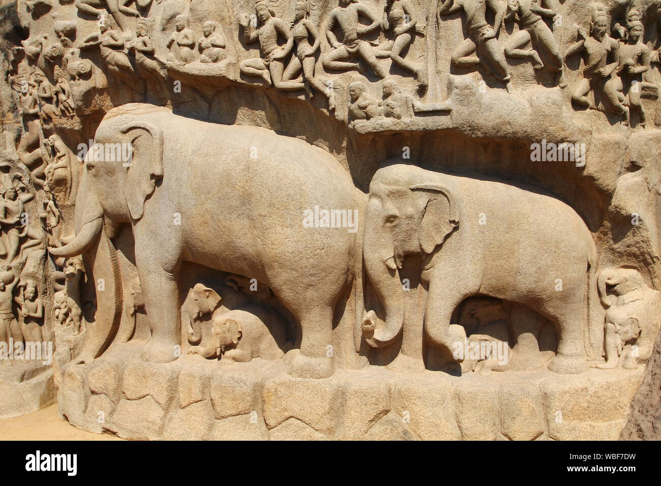 Arjunas Buße, Bas-Relief, Mamallapuram, Tamil Nadu, Indien Stockfoto