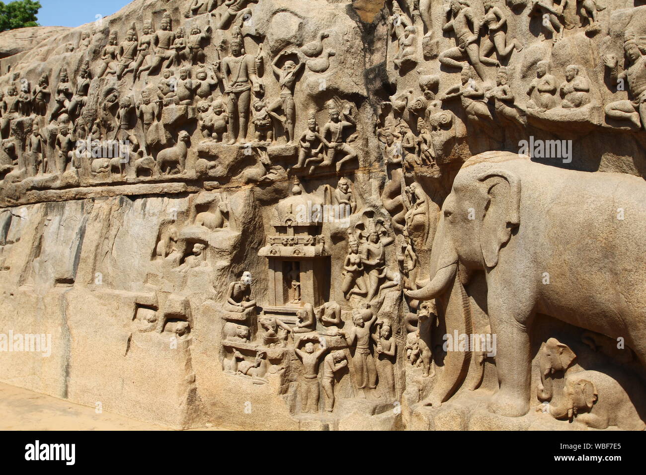 Arjunas Buße, Bas-Relief, Mamallapuram, Tamil Nadu, Indien Stockfoto
