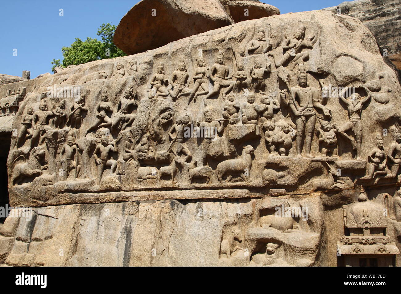 Arjunas Buße, Bas-Relief, Mamallapuram, Tamil Nadu, Indien Stockfoto