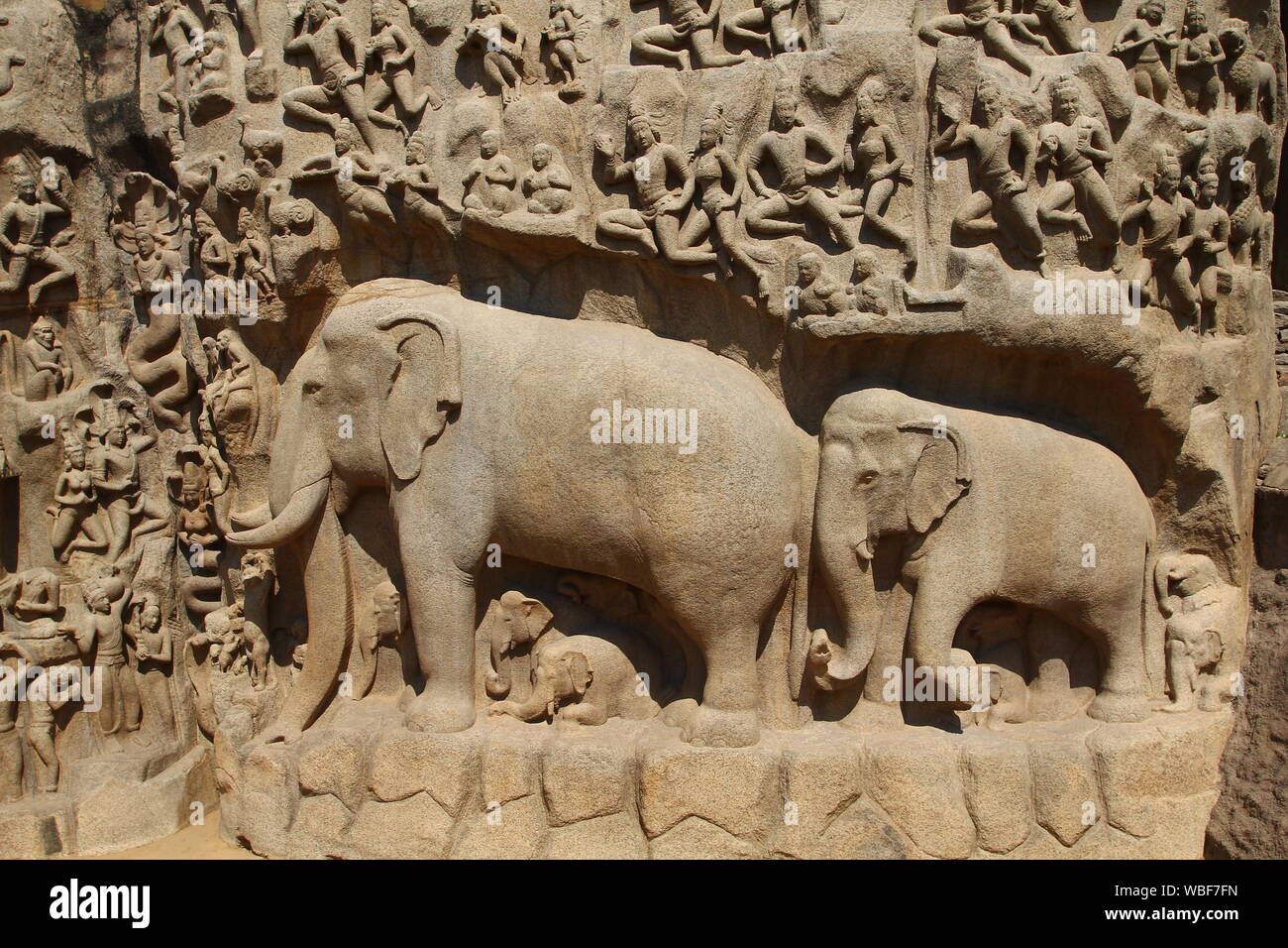 Arjunas Buße, Bas-Relief, Mamallapuram, Tamil Nadu, Indien Stockfoto