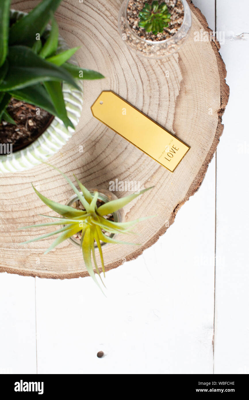 Ansicht von oben flach von sukkulenten Pflanzen zusammen mit einigen goldenen Haushaltsgegenstände auf einem Holzbrett auf einem weißen Tisch Hintergrund Stockfoto