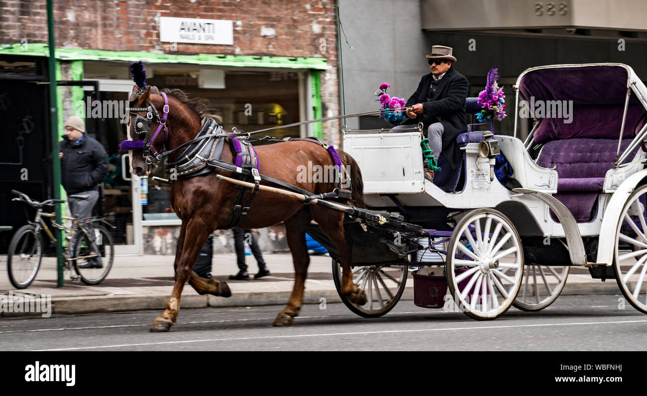 New York, Feb 15, 2018 - Pferd und Buggy fahren Sie New Yorker Straße ohne Passagiere Stockfoto