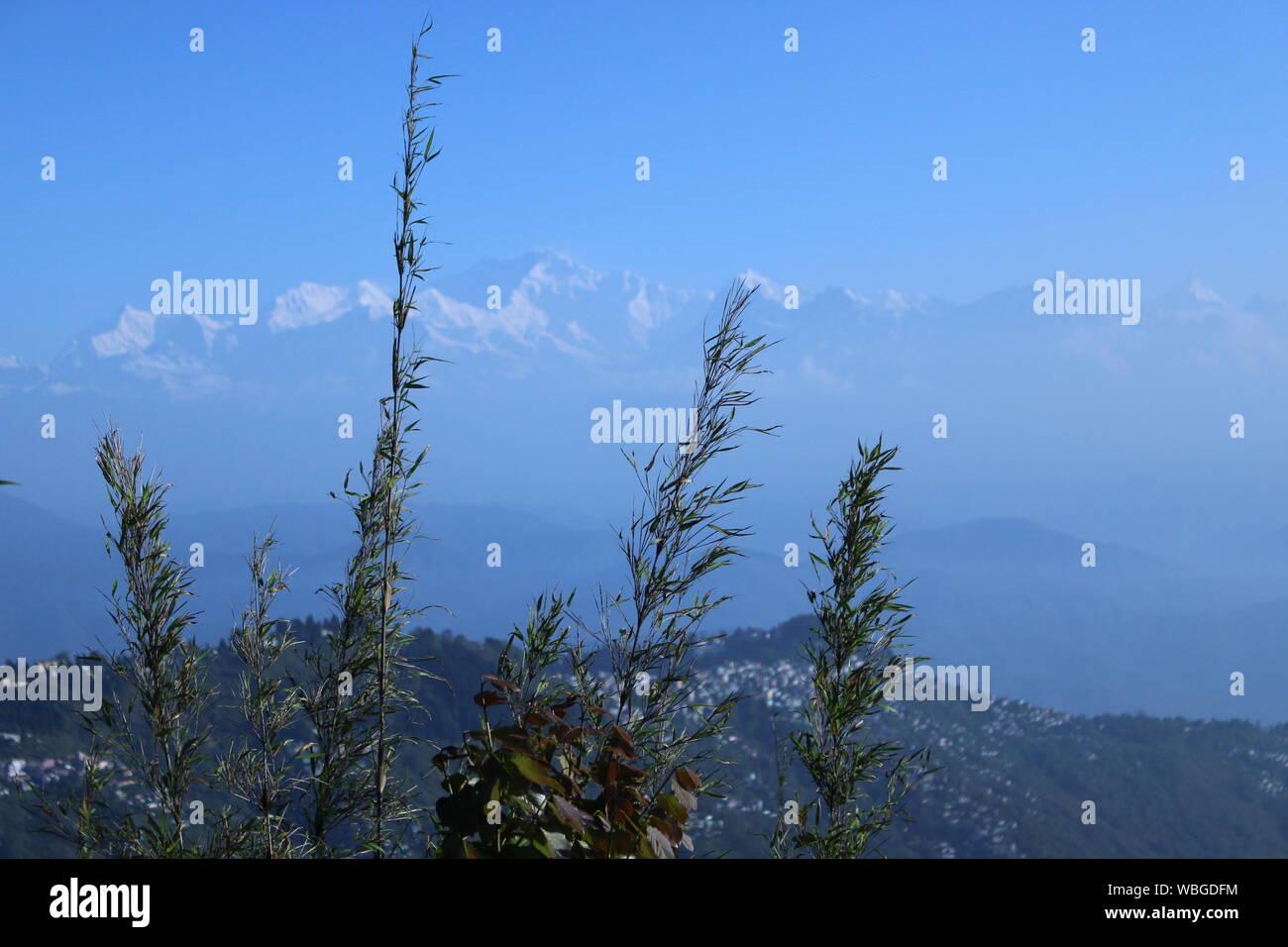 Besten Darjeeling Hill View Bilder HD2019 Stockfoto