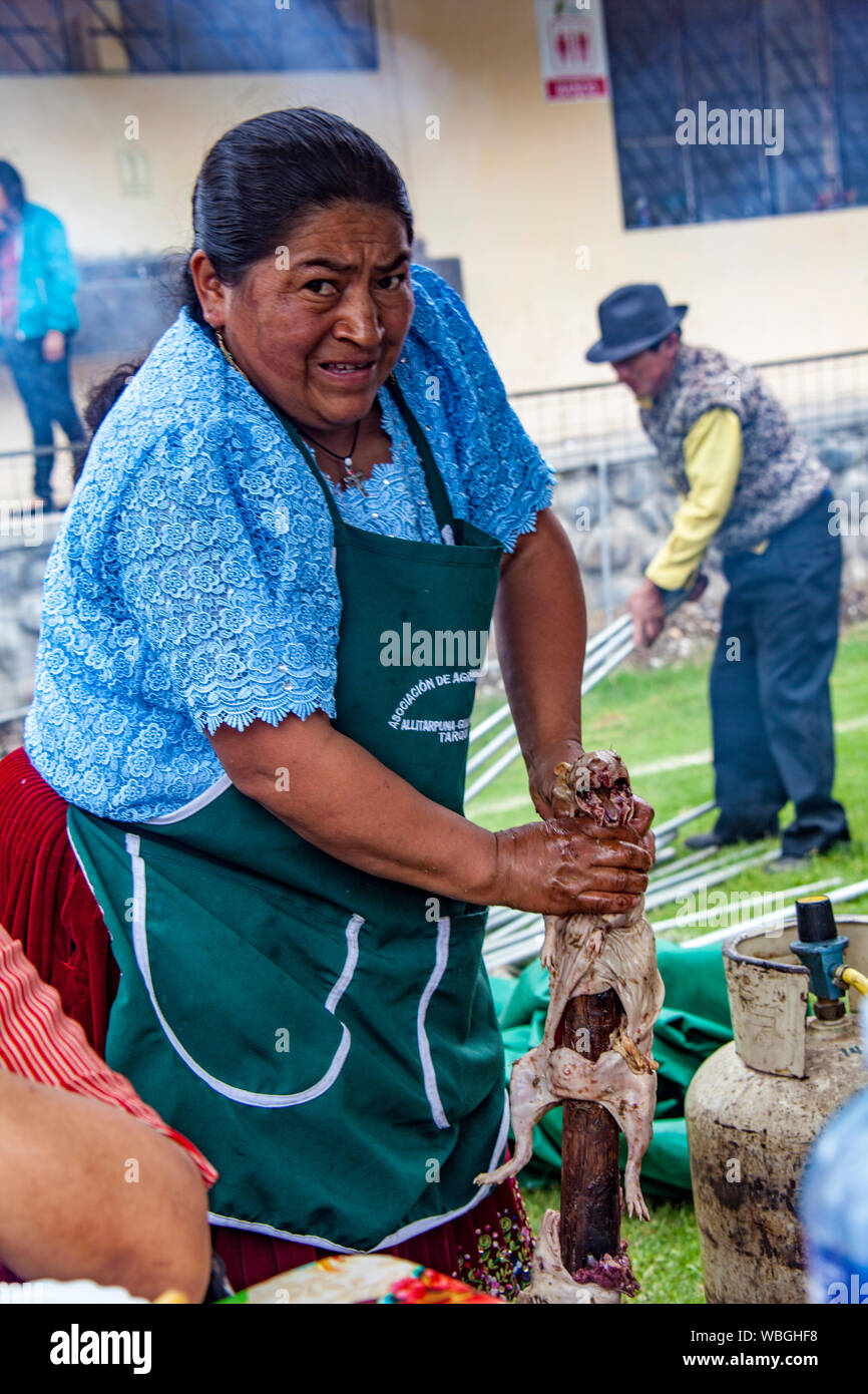 Tarqui, Ecuador - Oktober 4, 2015 - Frau bereitet ein Cuy (Meerschweinchen für den Grill an einer im Festival Stockfoto