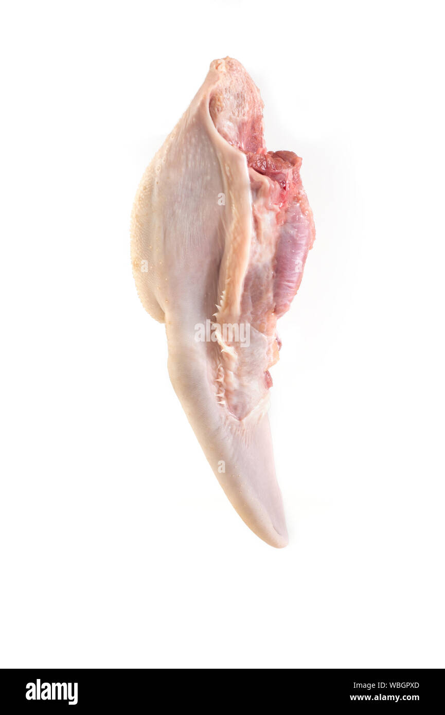Rohes Rindfleisch Zunge bearbeitet werden kann. Zunge Fleisch ist hart, mit zahlreichen Warzen bedeckt. Sie werden verwendet, um einige Eintöpfe und Gelees vorzubereiten. Stockfoto