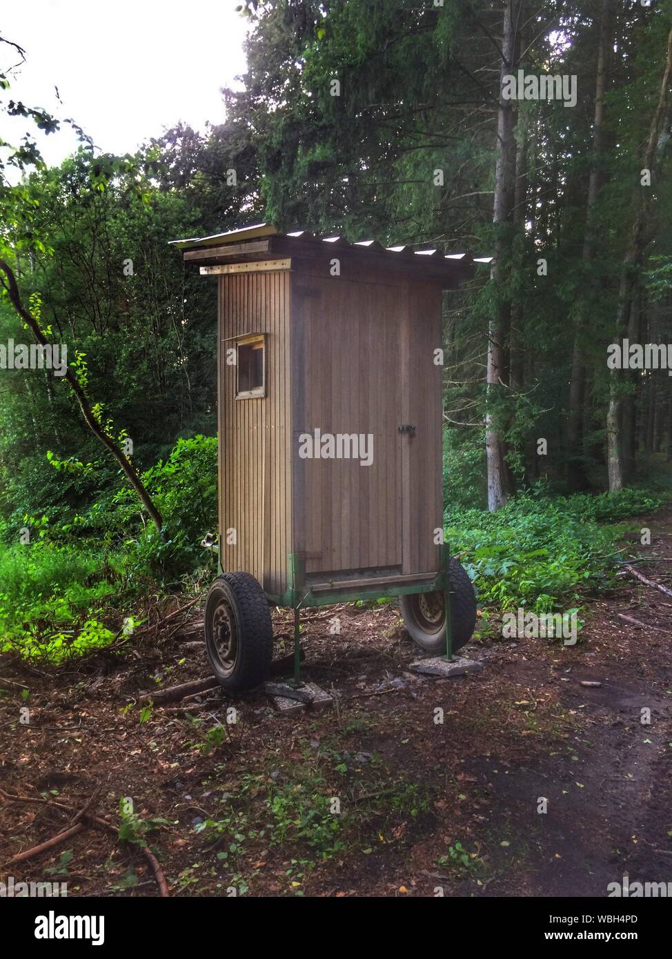 Tragbare Toilette gegen Bäume im Wald Stockfoto