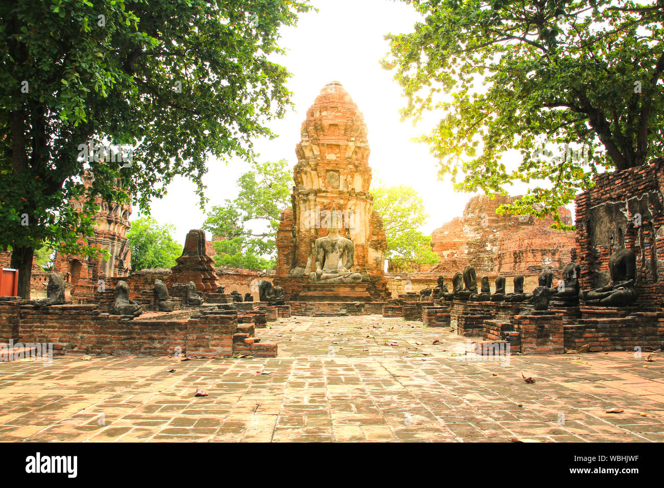 Wat Mahathat in Ayutthaya Historical Park, Thailand. Stockfoto