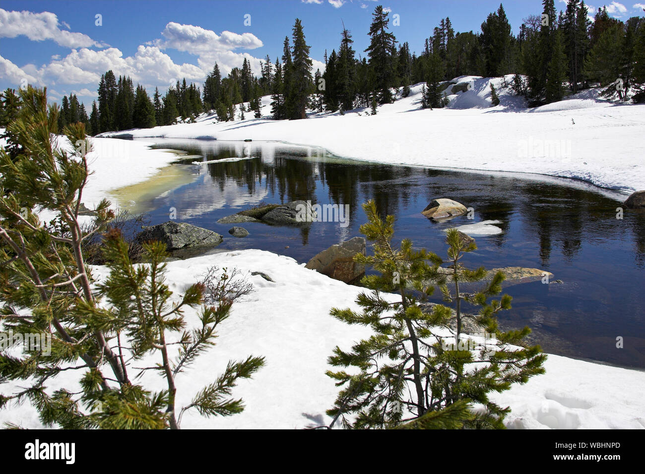 Stream neben Route 212 Beartooth All American Road Wyoming USA Stockfoto