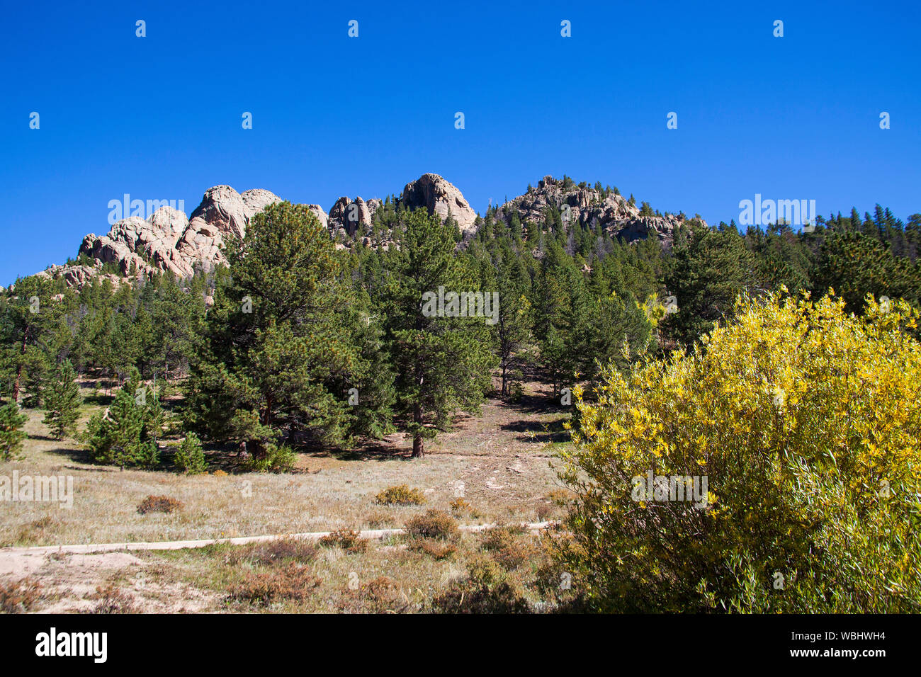 Felsen und Wald neben Lily See Rocky Mountain Nationalpark Colorado USA Stockfoto