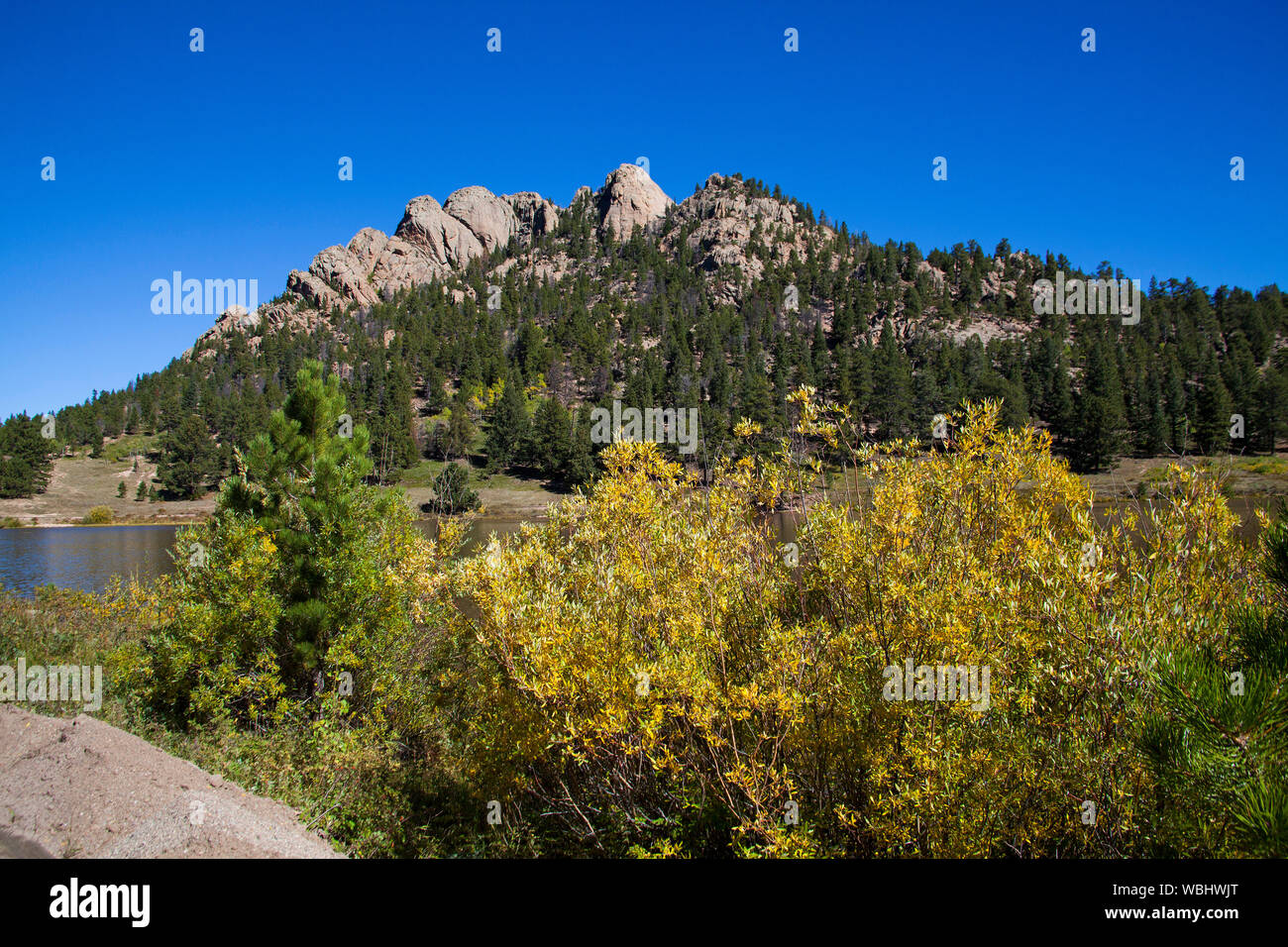 Felsen und Wald neben Lily See Rocky Mountain Nationalpark Colorado USA Stockfoto