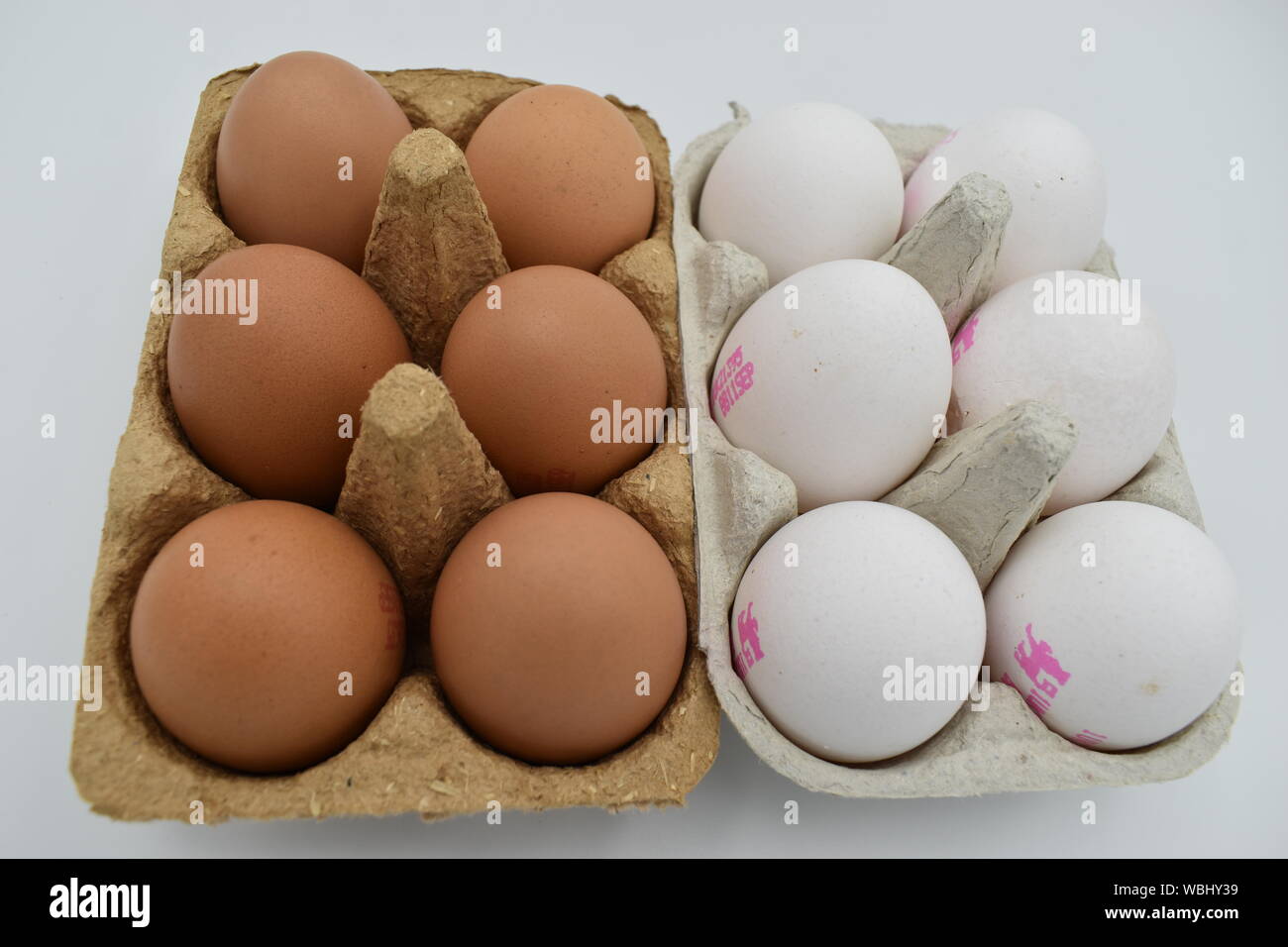 Sechs weiße und braune Eier. Ernährungsphysiologisch nicht anders, wir werden erklärt, aber die Menschen immer noch lieber braune Eier. Stockfoto