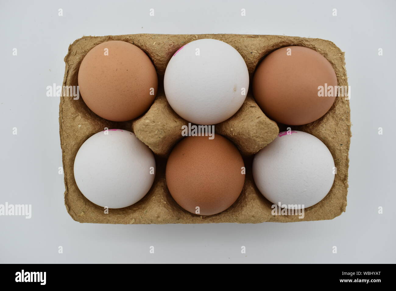 Drei weiße und drei braune Eier. Ernährungsphysiologisch nicht anders, wir werden erklärt, aber die Menschen immer noch lieber braune Eier. Stockfoto
