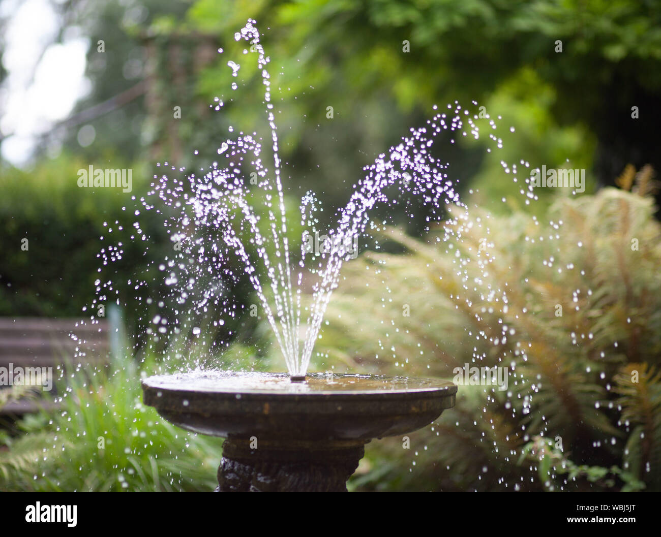 Wasser Brunnen mit ziergarten als Hintergrund Stockfoto