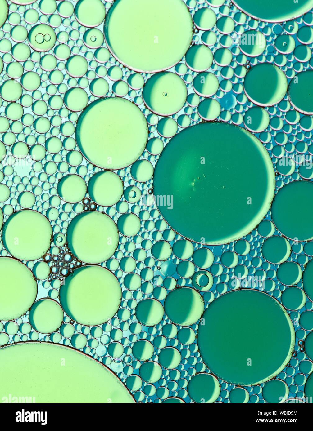 Mehrfarbige Blasenmuster, die durch auf Wasser schwimmendes Öl entstehen Stockfoto