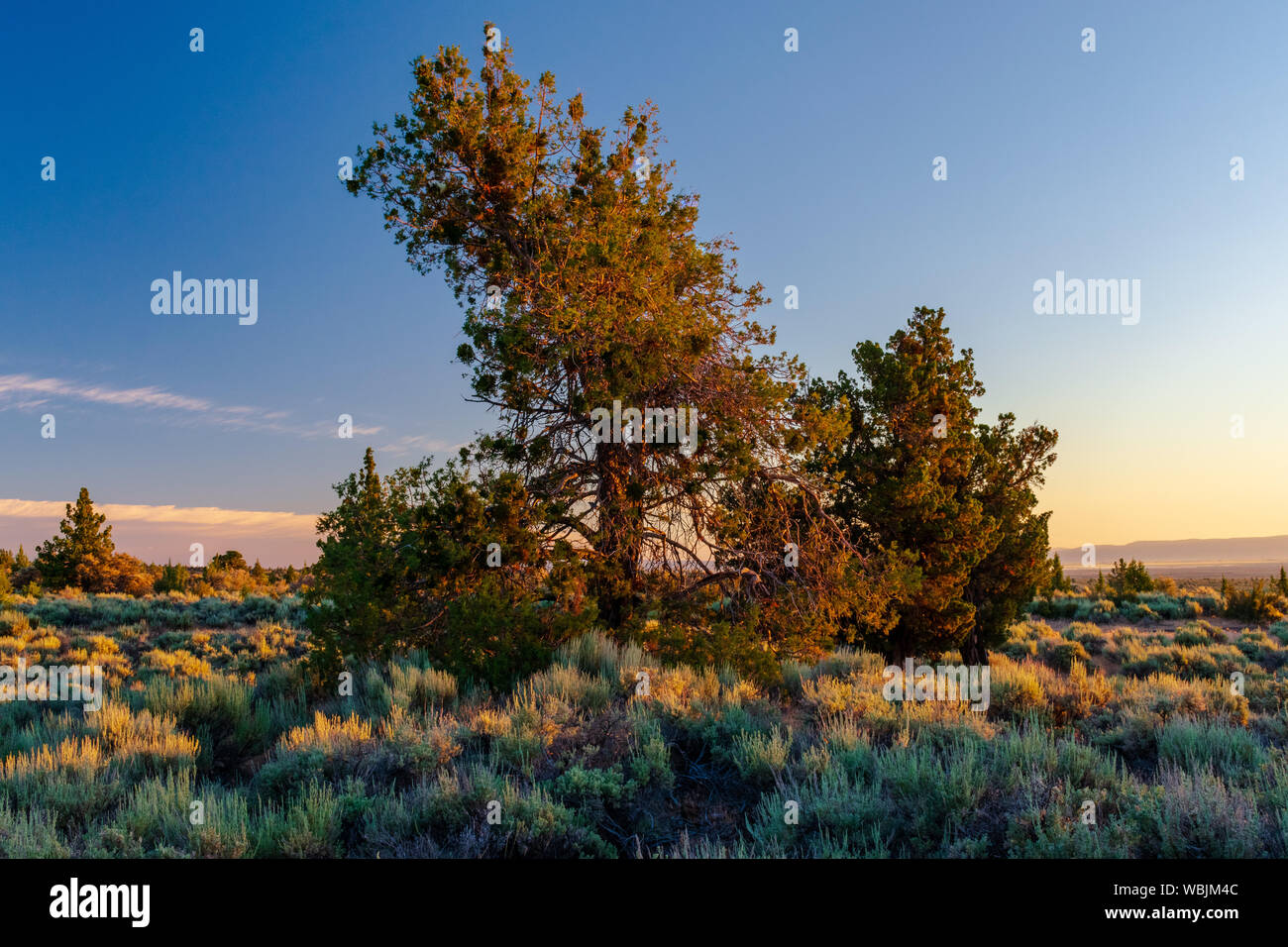 Sonnenaufgang über Lava Beds National Monument Stockfoto