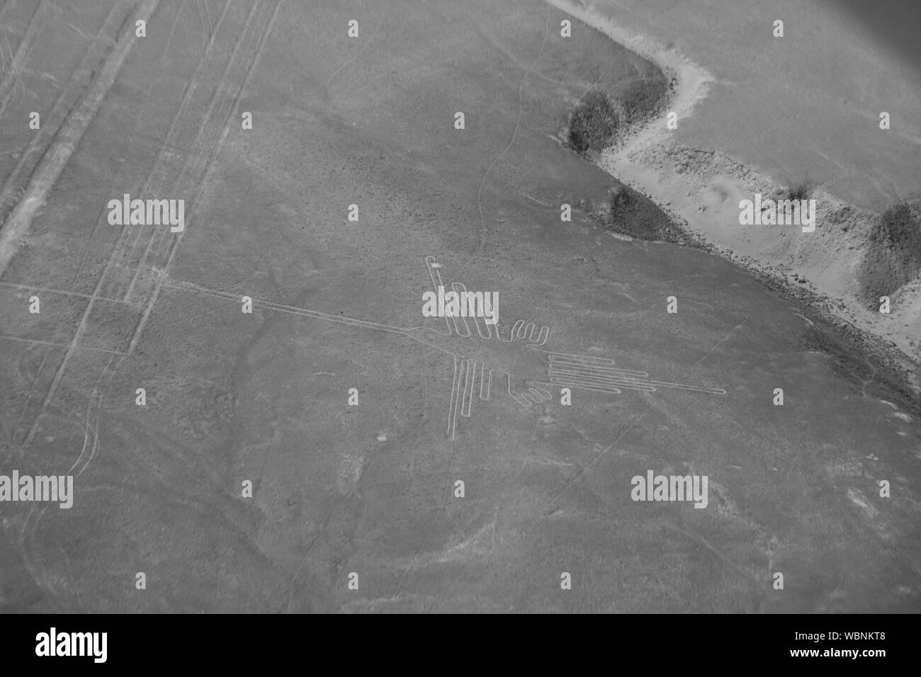 Der Kolibri. Luftaufnahme von geoglyphen von Nazca, Peru Stockfoto