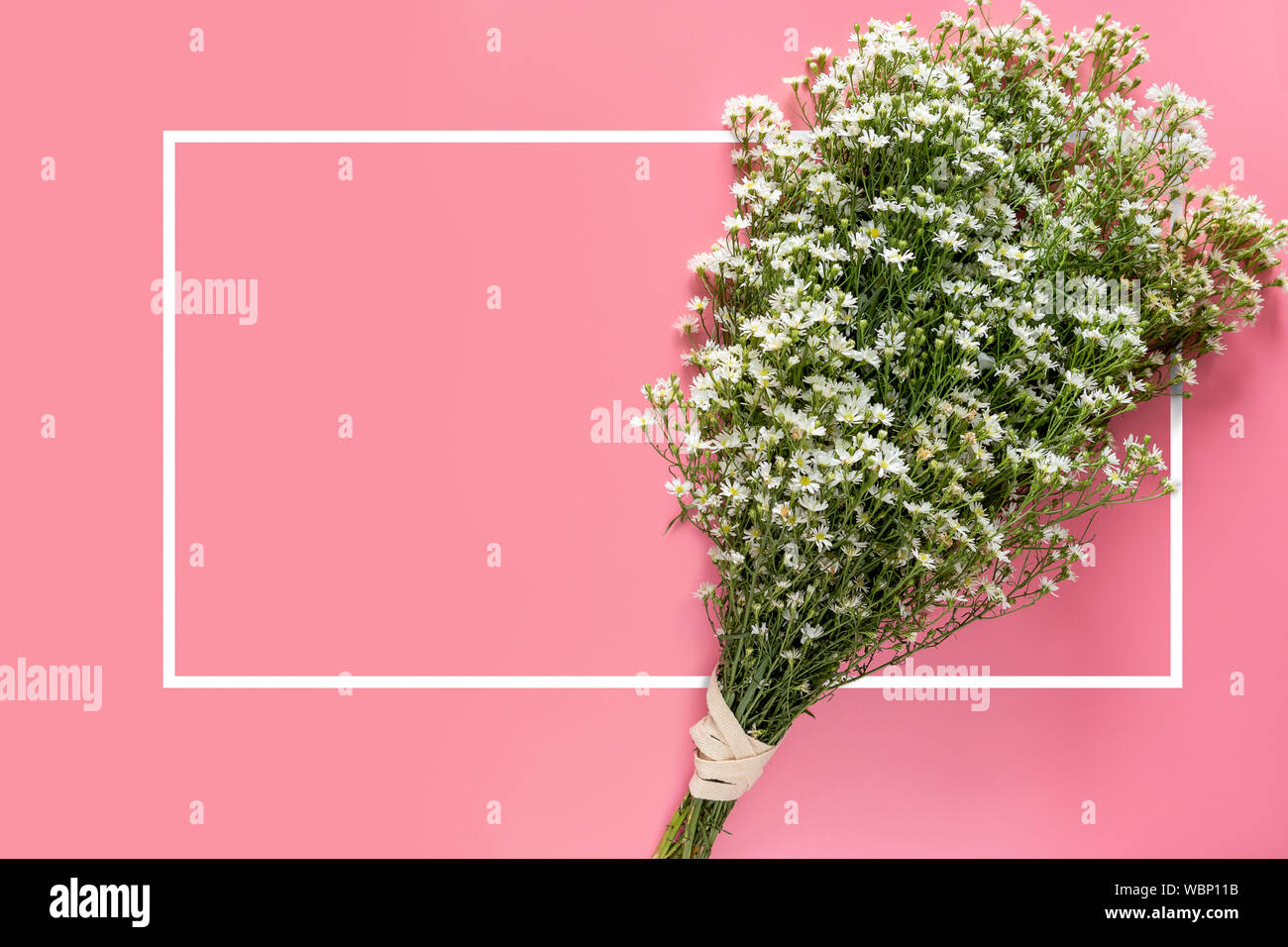 Kreative von minimalen Frühling frische weiße Blumenstrauß auf rosa Hintergrund mit weißen Rahmen Rahmen und kopieren Raum isoliert für Text auf der Grußkarte oder Stockfoto