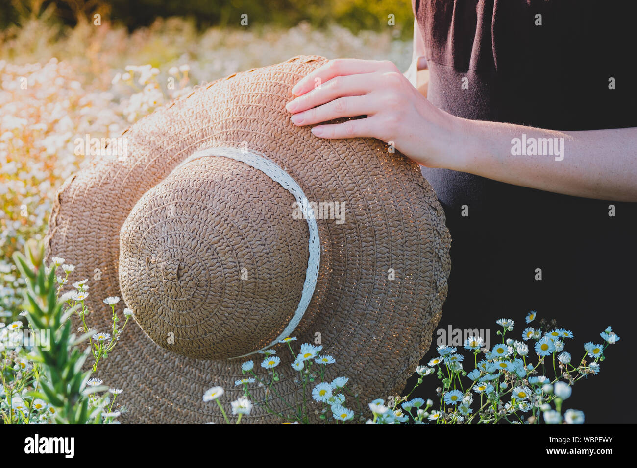 Lieben und Schätzen der Natur. Stroh Hut in weibliche Hände auf ein wunderschönes ländlichen Wiese voller wilder Blumen Stockfoto