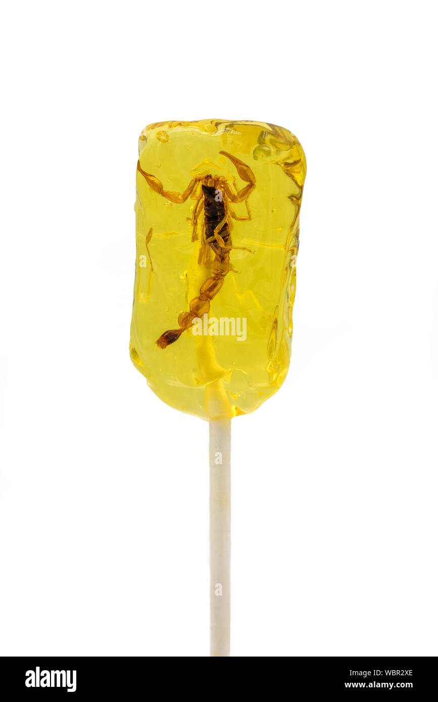 Lollipop mit einem echten Skorpion im Inneren, auf weißem Hintergrund. Stockfoto