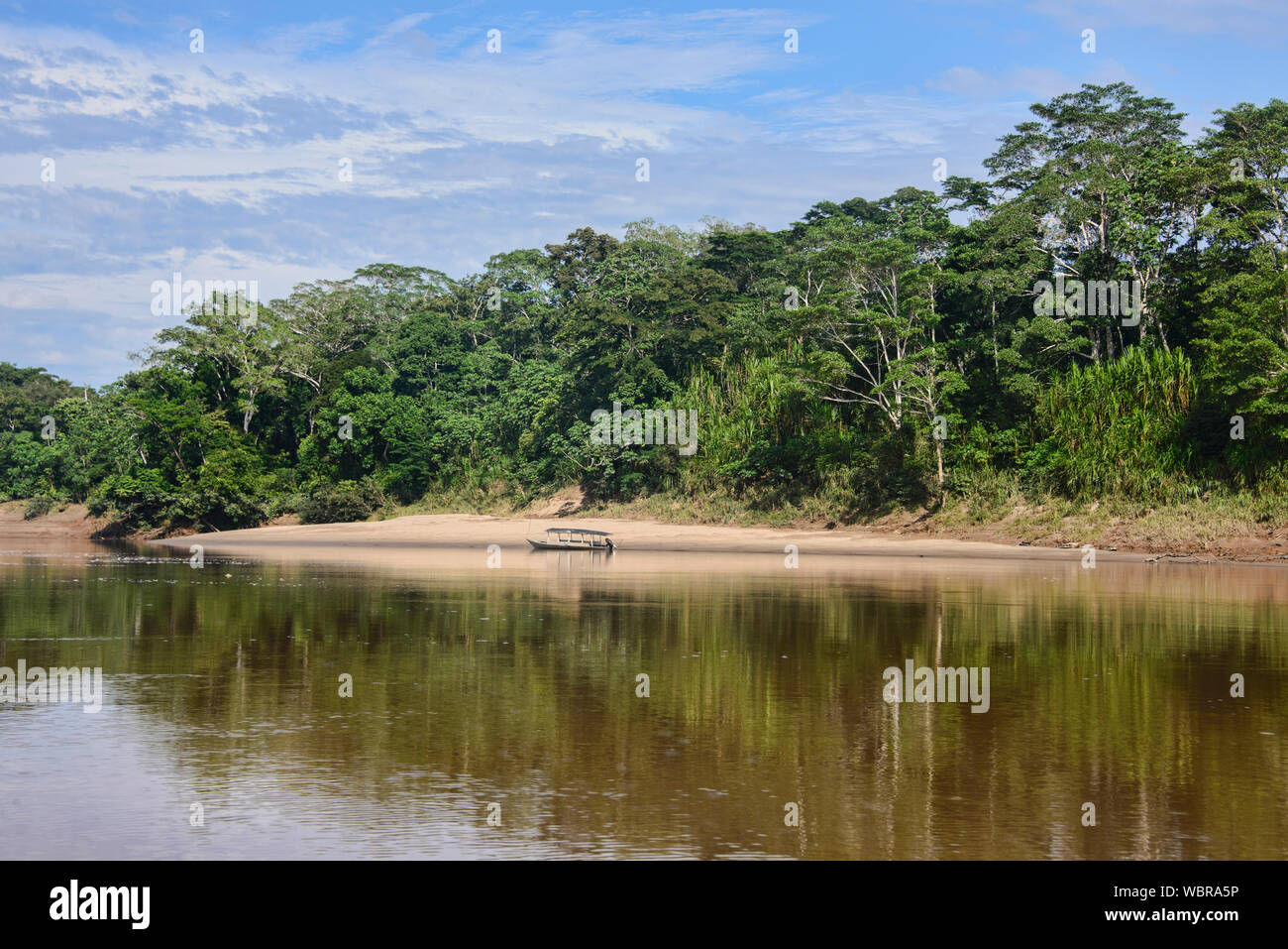 Der Urwald des Tambopata Reserve, peruanischen Amazonas Stockfoto