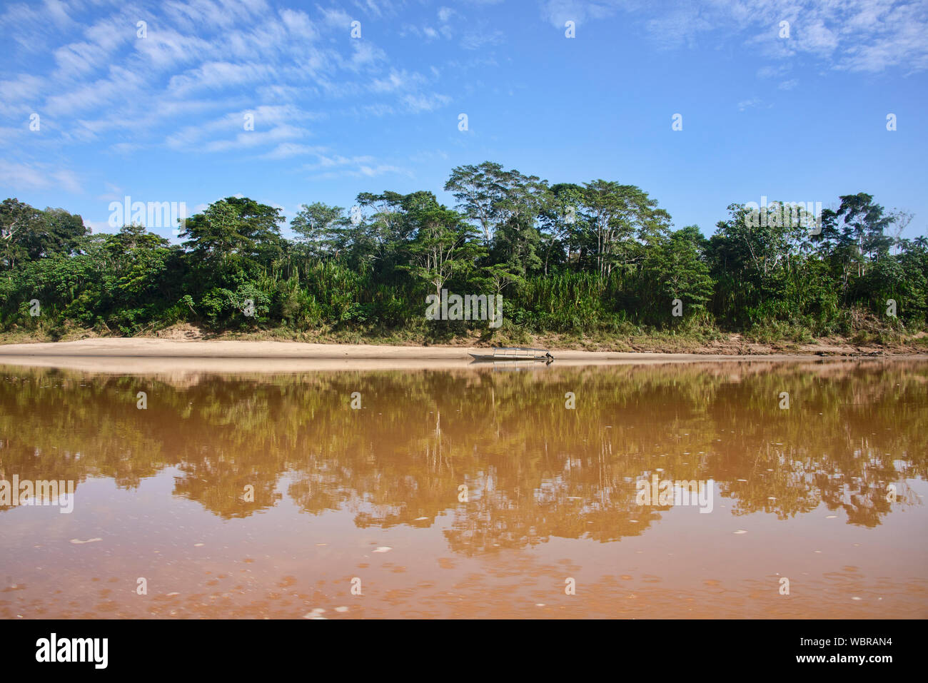 Der Urwald des Tambopata Reserve, peruanischen Amazonas Stockfoto
