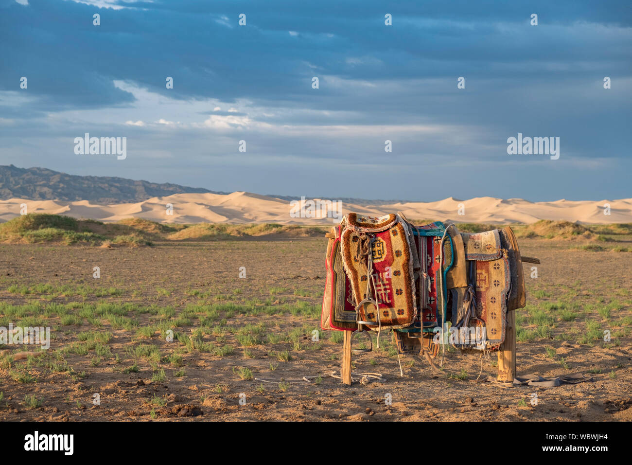 Khongoryn Els auch Duut Mankhan ist im Volksmund als die "singende Sands" bekannt. Die Dünen erstrecken sich auf über 965 Quadratkilometer Fläche und steigende Stockfoto