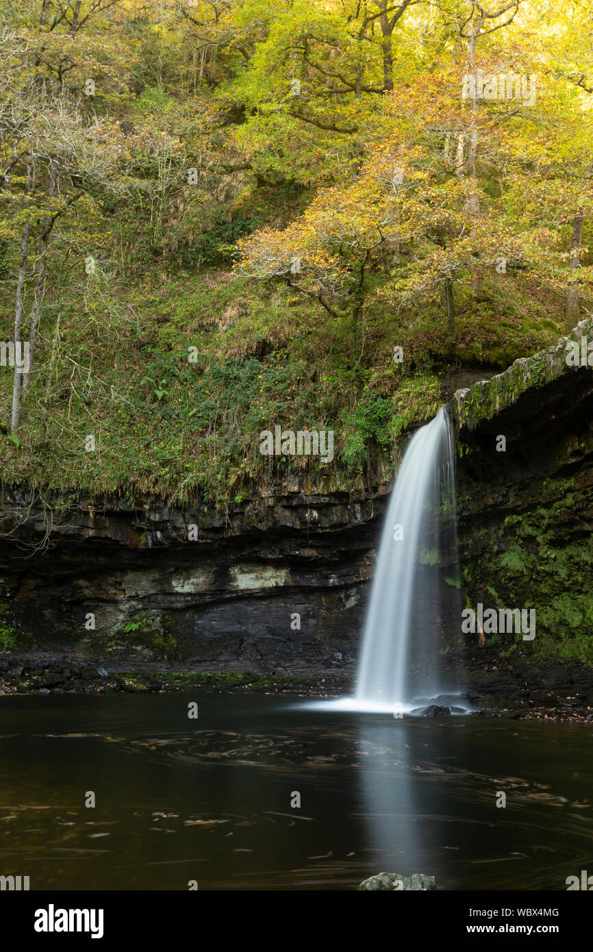 Sgwd Gwladys (Lady fällt), Nedd Fechan Tal, Pontneddfechan, Brecon Beacons National Park, Powys, Wales, Großbritannien Stockfoto
