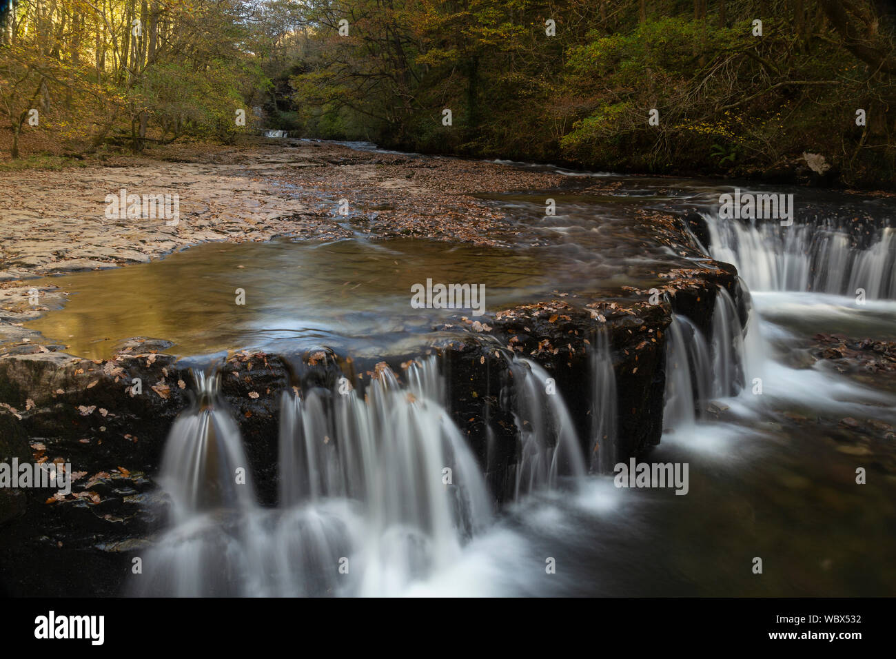 Y Bedol Sgwd (Horseshoe Falls), Nedd Fechan Tal, Pontneddfechan, Brecon Beacons National Park, Powys, Wales, Großbritannien Stockfoto