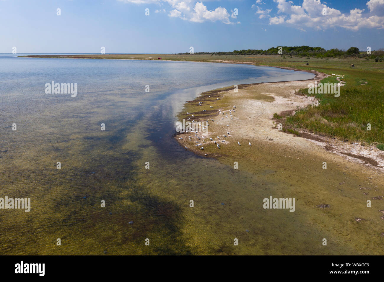 Schwarzes Meer, Kherson Oblast, Ukraine Stockfoto