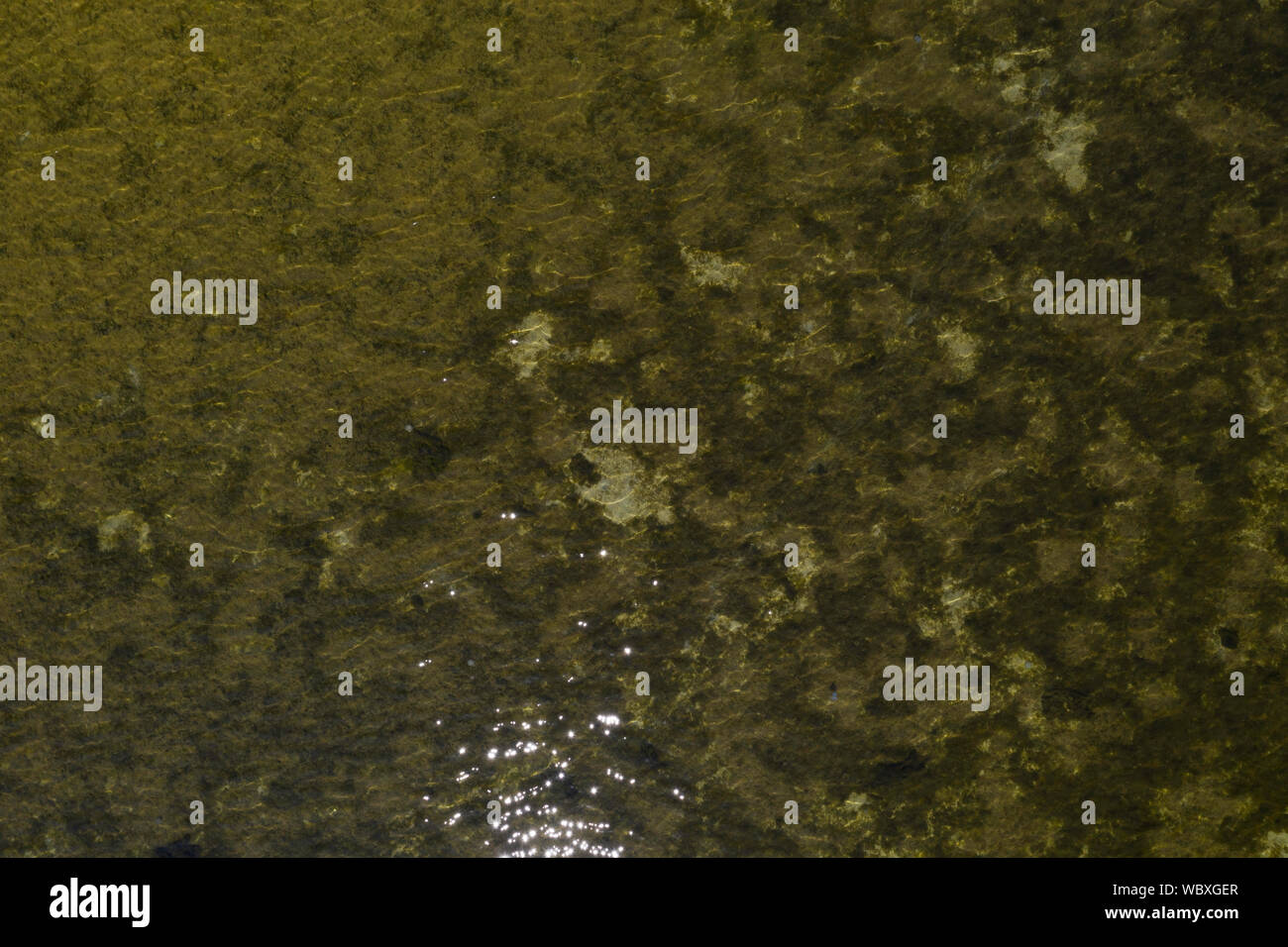 Schwarzes Meer, Kherson Oblast, Ukraine Stockfoto