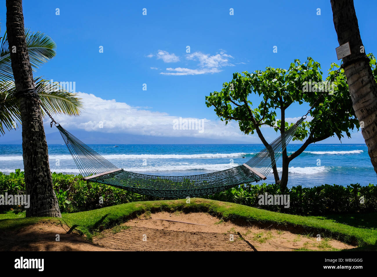 Hängematte zwischen 2 Palmen am Strand von Ka'anapali auf Maui (Hawaii). Bild im Juli 2019 getroffen Stockfoto