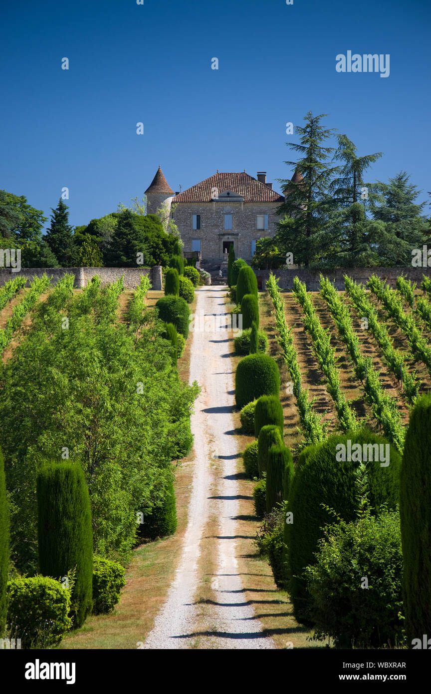 Ein Blick auf das Chateau de Chambert und seine ökologischen Weinberg im Tal des Lot in Frankreich. Stockfoto