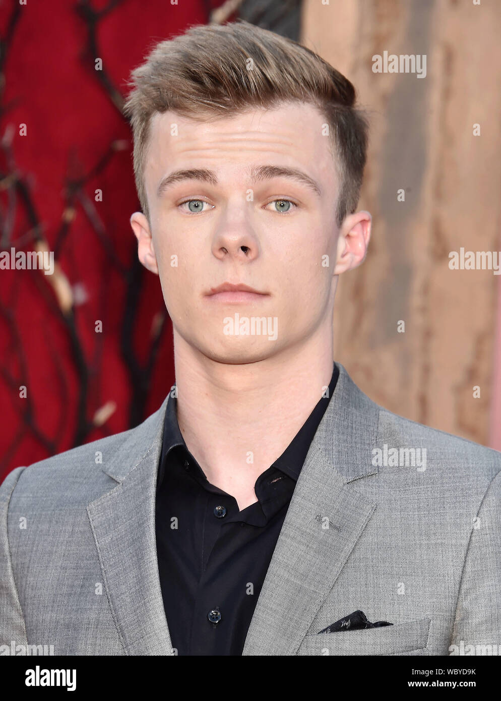 WESTWOOD, CA - 26. August: Nicholas Hamilton besucht die Premiere von Warner Bros. Pictures' "Es Kapitel Zwei im Regency Dorf Theater am 26. August 2019 in Westwood, Kalifornien. Stockfoto