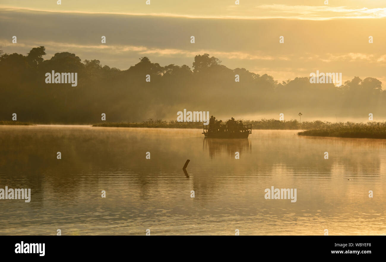 Chimbadas See bei Sonnenaufgang, Tambopata National Reserve, peruanischen Amazonas Stockfoto